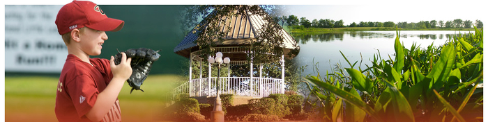 rosenberg-image-scape